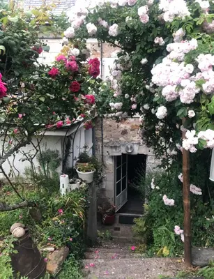 Jardin de l'établissement Abbey Road Le Thoureil Maison 6 chambres 12 personnes