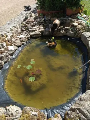 Jardin de l'établissement Maison de vacances Sol & Piper