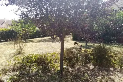 Jardin de l'établissement Le Lizard, un gîte pour vos passions nature