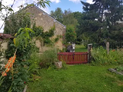 Jardin de l'établissement Le Clos de la Canardière