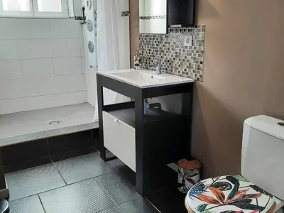 Salle de bains dans l'établissement Gîte charmant 4 pers avec jardin privé, proche Saumur et bords de Loire, tout inclus - FR-1-622-5