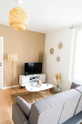 Télévision ou salle de divertissement dans l'établissement Spacieux appartement avec parking privé à Saumur
