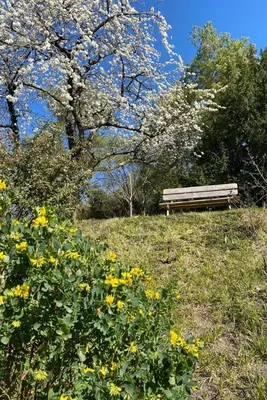 Jardin de l'établissement A l'Ombre d'Azay - Demeure d'Hôtes - GuestHouse