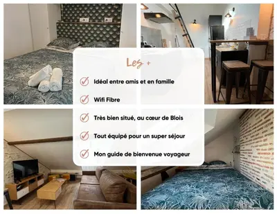 Un ou plusieurs lits dans un hébergement de l'établissement Le Duplex Chartrain - Séjour au cœur de Blois