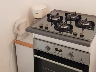Cuisine ou kitchenette dans l'établissement Gîte Des Quinconces