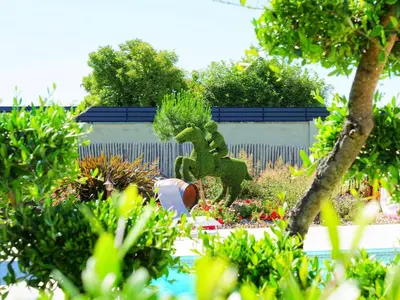 Jardin de l'établissement Cottage avec piscine au cœur du Saumur Champigny