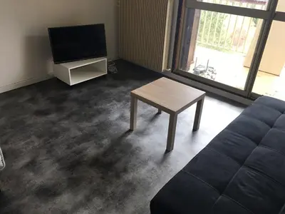 Télévision ou salle de divertissement dans l'établissement Joli studio proche des châteaux et du parc de Beauval