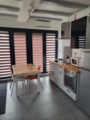 Cuisine ou kitchenette dans l'établissement Joli appartement avec vue sur la Loire