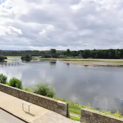 Les sternes de st Mathurin sur Loire