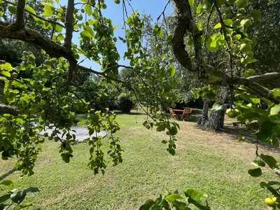 Jardin de l'établissement Chambre d'hôtes des Gâtines