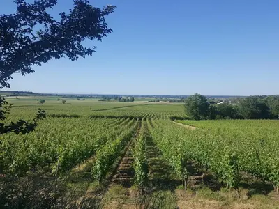 Paysage naturel près de la maison d'hôtes
