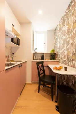 Cuisine ou kitchenette dans l'établissement La Lirosane, 3 studios, 3,7km du Zoo, Centre-ville