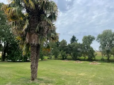 Jardin de l'établissement Château de Montaupin