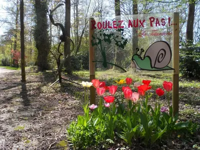 Jardin de l'établissement Gîte spacieux en Touraine, 8 pers, jardin privé, calme - FR-1-381-273