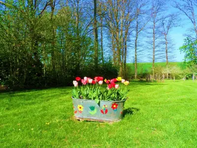 Jardin de l'établissement Gîte spacieux en Touraine, 8 pers, jardin privé, calme - FR-1-381-273