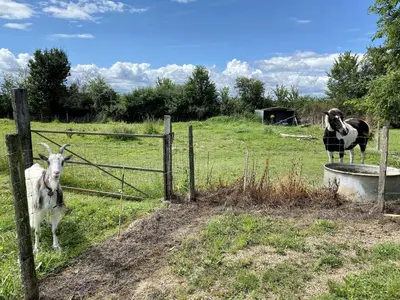Jardin de l'établissement Le Plessis