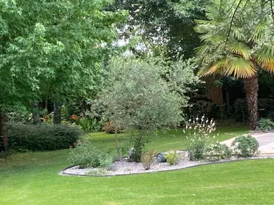 Jardin de l'établissement Residence Labrège T2Duplex Spa Piscine