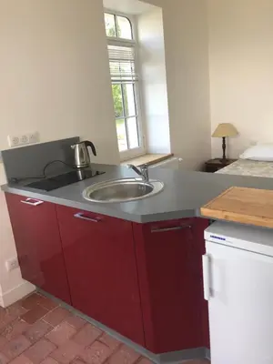 Cuisine ou kitchenette dans l'établissement Charmant gite en rez-de-jardin