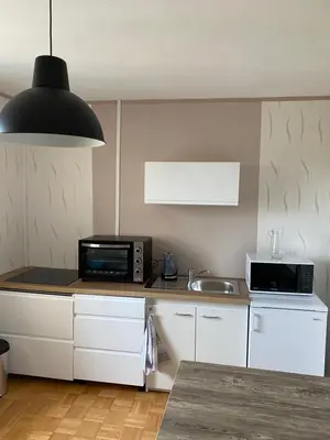 Cuisine ou kitchenette dans l'établissement Le Rhin et Danube wifi