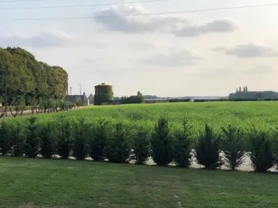 Jardin de l'établissement maison d'hôtes ed.André 10 personnes