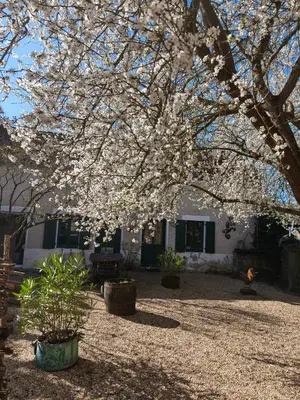 Jardin de l'établissement LE COTTAGE DES SABLONS près du zoo de Beauval