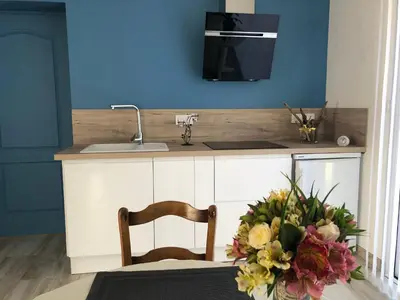 Cuisine ou kitchenette dans l'établissement Charmant gîte cozy près du Mans avec jardin, terrasse, proche commodités et activités. - FR-1-410-336