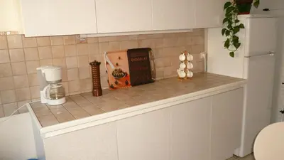 Cuisine ou kitchenette dans l'établissement Appartement Centre Ville Tours