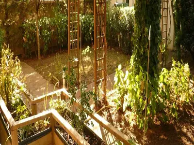 Jardin de l'établissement Appartement Centre Ville Tours