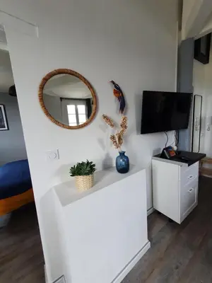 Télévision ou salle de divertissement dans l'établissement Appartement Loire et Château, Hyper Centre, vue Loire, Linge inclus, 3ème étage