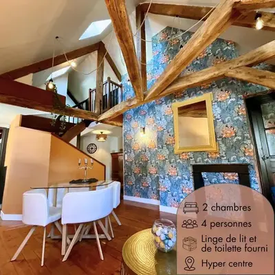 Le Gatsby - Duplex art déco au coeur de Blois
