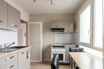Cuisine ou kitchenette dans l'établissement Appartement charmant au Mans 38 m² avec vue