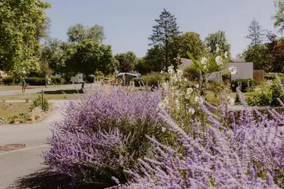 Jardin de l'établissement Camping Onlycamp Tours Val de Loire