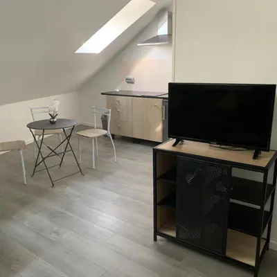 Télévision ou salle de divertissement dans l'établissement Appartement 4 PERSONNES EMPLACEMENT IDEAL PROCHE DES 24H ET GARE