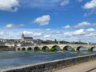 Vue sur la rivière ou le fleuve situé(e) à proximité de l'appartement