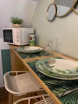 Cuisine ou kitchenette dans l'établissement Escale Tropicale à Blois