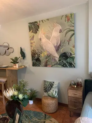 Coin salon dans l'établissement Escale Tropicale à Blois