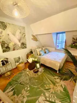 Un ou plusieurs lits dans un hébergement de l'établissement Escale Tropicale à Blois