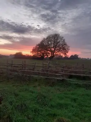 Lever ou coucher de soleil vu de la maison de vacances ou à proximité
