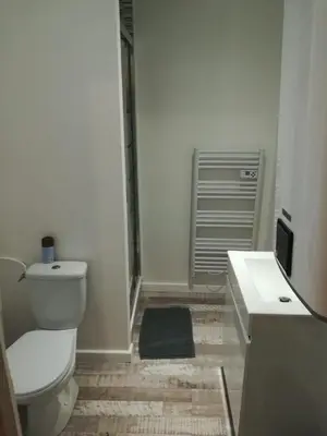 Salle de bains dans l'établissement La Petite d'Alsace N°1
