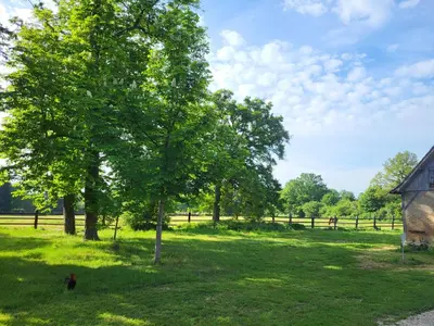 Jardin de l'établissement Gite de la Chapelle - Circuit des 24 heures - ARNAGE - 10 personnes