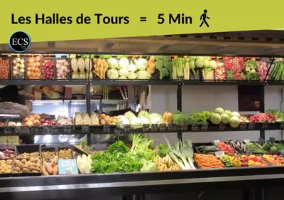 Plan de l'établissement 