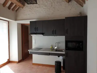 Cuisine ou kitchenette dans l'établissement Le Petit Pavillon