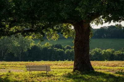 Paysage naturel près de la maison de vacances