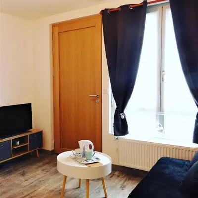 Télévision ou salle de divertissement dans l'établissement Appartement St Aignan sur Cher centre