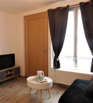 Télévision ou salle de divertissement dans l'établissement Appartement St Aignan sur Cher centre