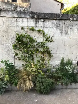 Jardin de l'établissement La Tranquillité proche Beauval et Châteaux de la Loire