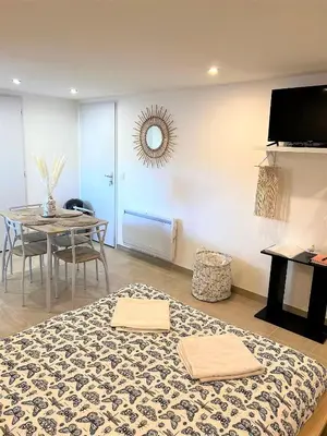 Télévision ou salle de divertissement dans l'établissement Studio Le Plum'Art, 10mn Zoo de Beauval avec jardin