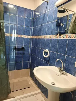 Salle de bains dans l'établissement Entre Zoo et Châteaux de la Loire