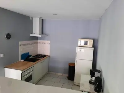 Cuisine ou kitchenette dans l'établissement Entre Zoo et Châteaux de la Loire