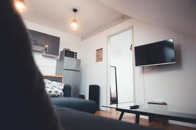 Télévision ou salle de divertissement dans l'établissement L'Âme de l'Artiste - Quartier Velpeau
